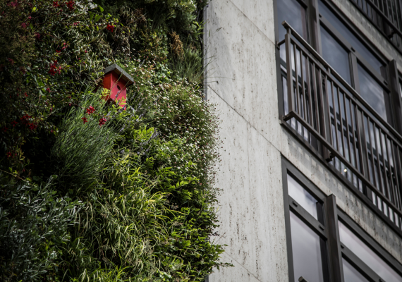 Ventajas y desventajas de elegir entre casa o departamento